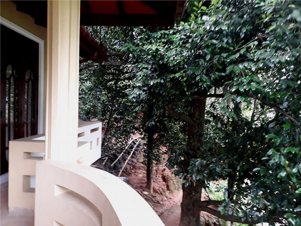 Greenwood Kandy Homestay Eksteriør billede