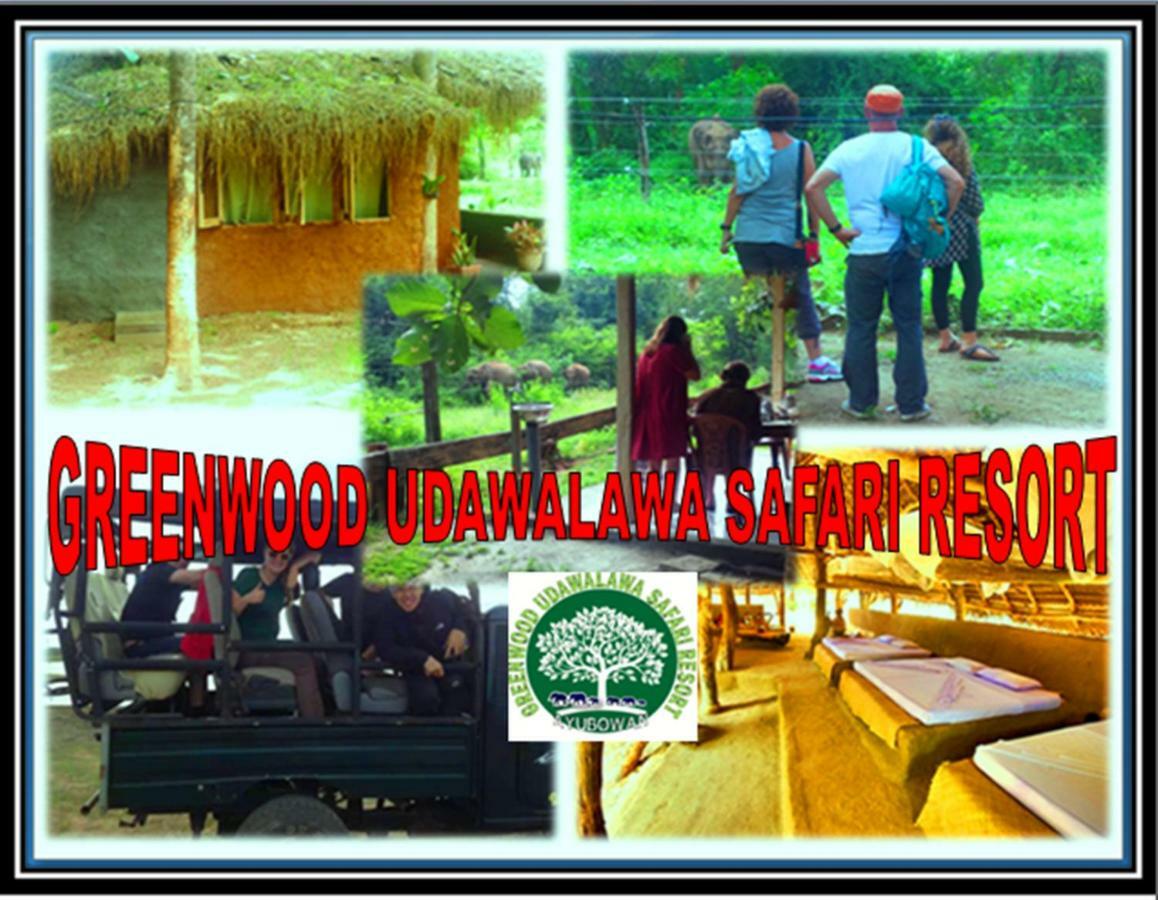 Greenwood Kandy Homestay Eksteriør billede