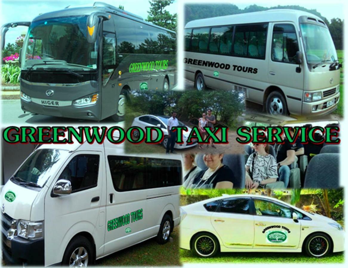 Greenwood Kandy Homestay Eksteriør billede