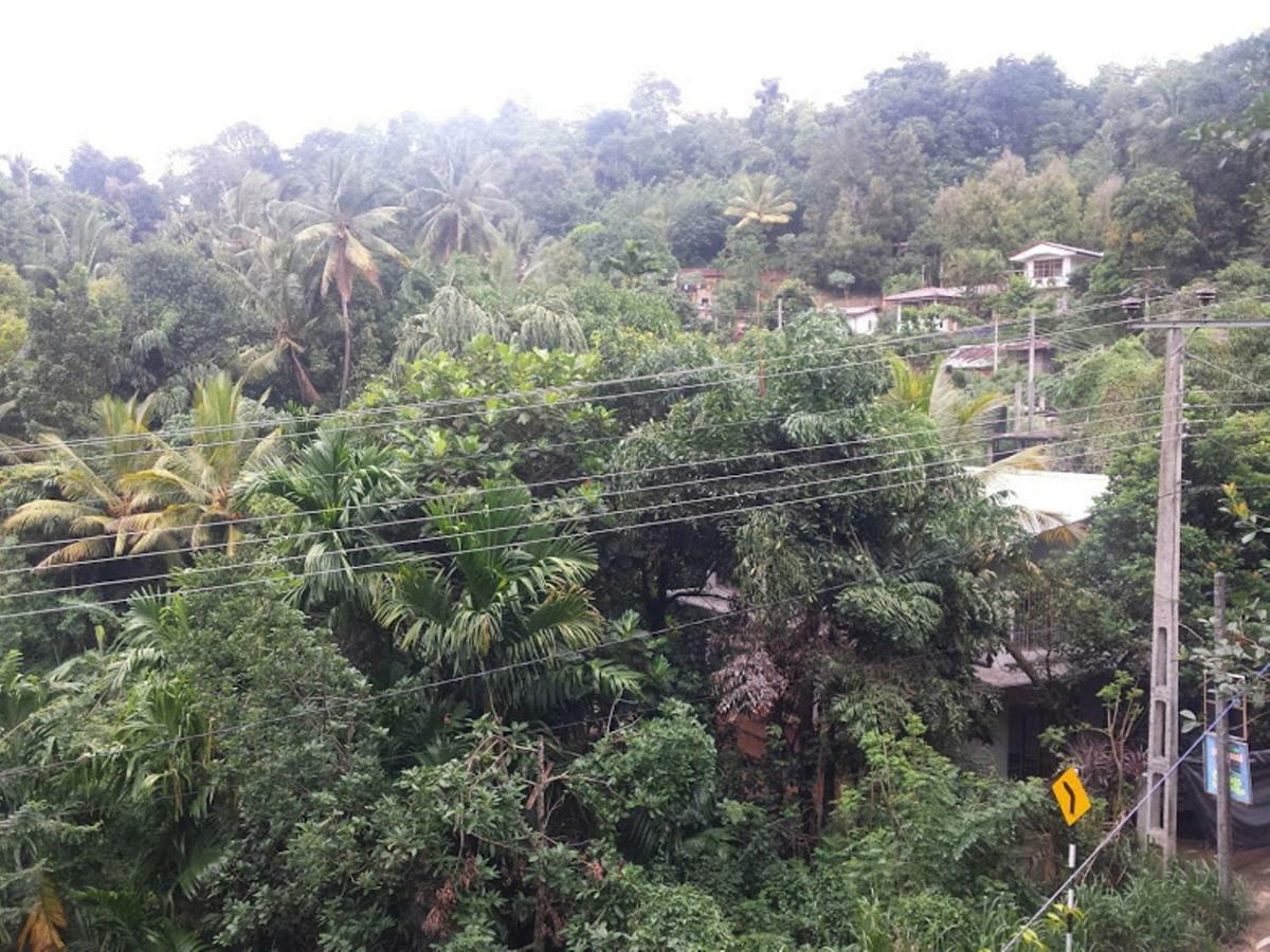 Greenwood Kandy Homestay Eksteriør billede