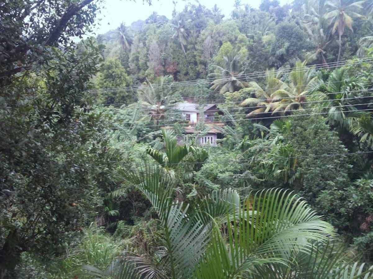 Greenwood Kandy Homestay Eksteriør billede